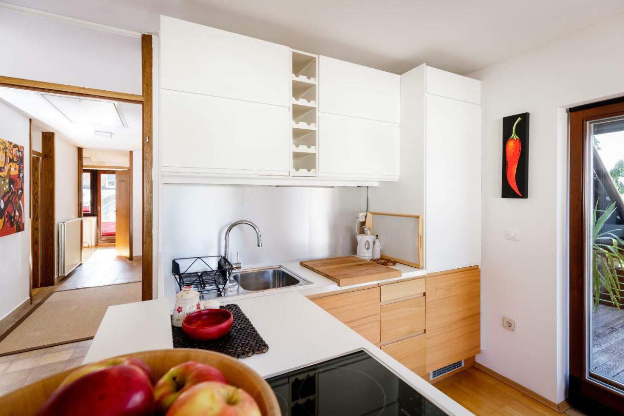 Cosy & Spacious Apt. Benc Zirovnica Buitenkant foto